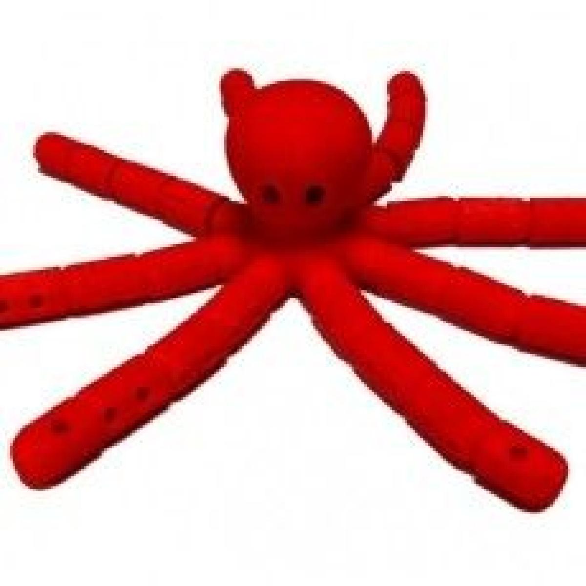 Polvo   com tentaculos em movimento!