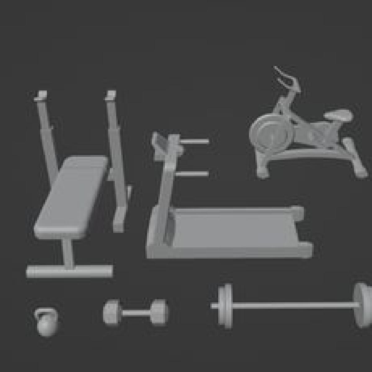 Conjunto de Equipamentos de Ginastica Modernos