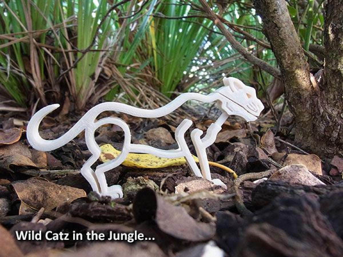 Wild Catz... com Mandibulas que Morde e Rosna!