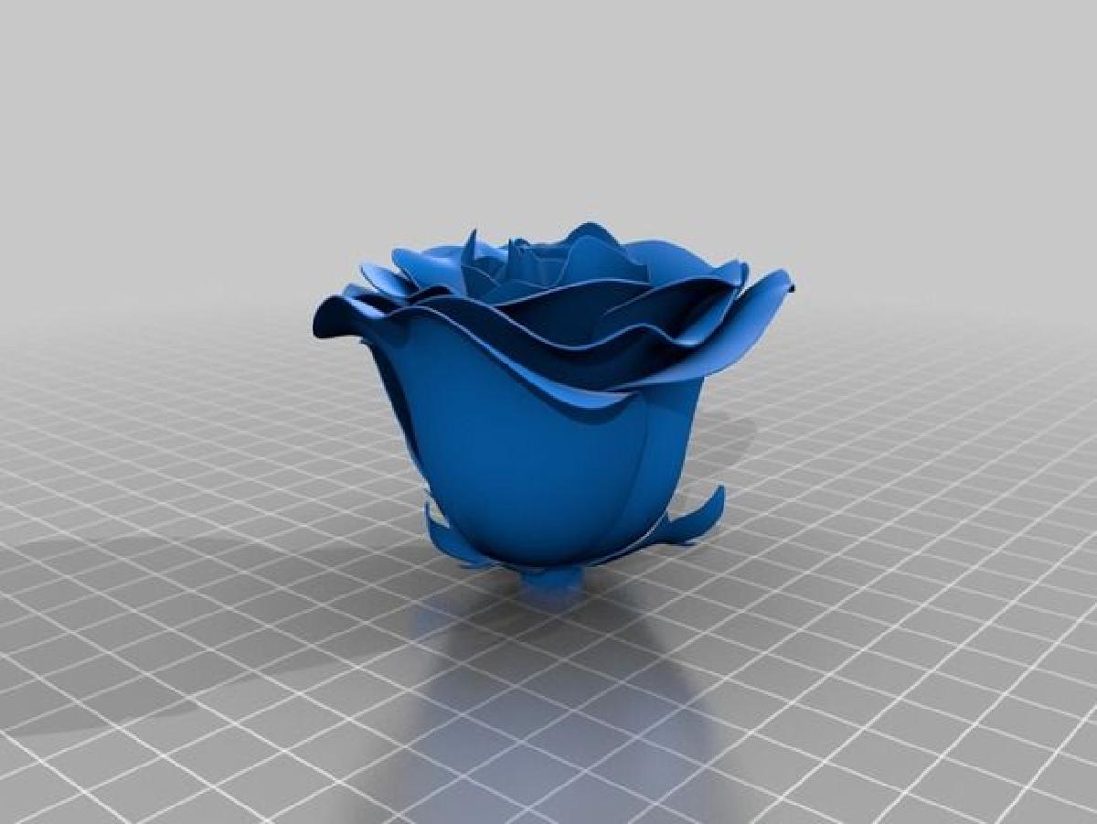 rosa
