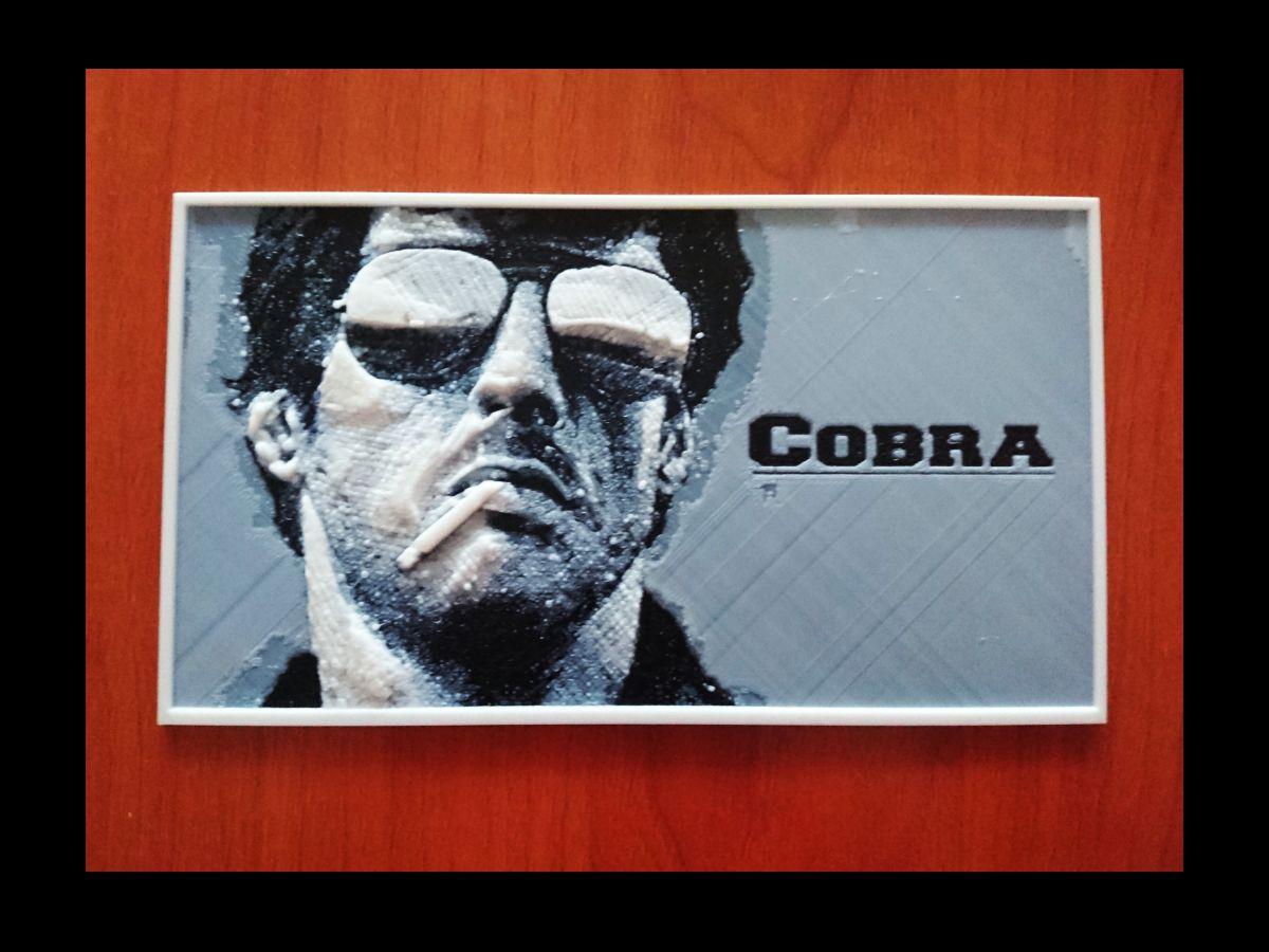 Cobra Placa
