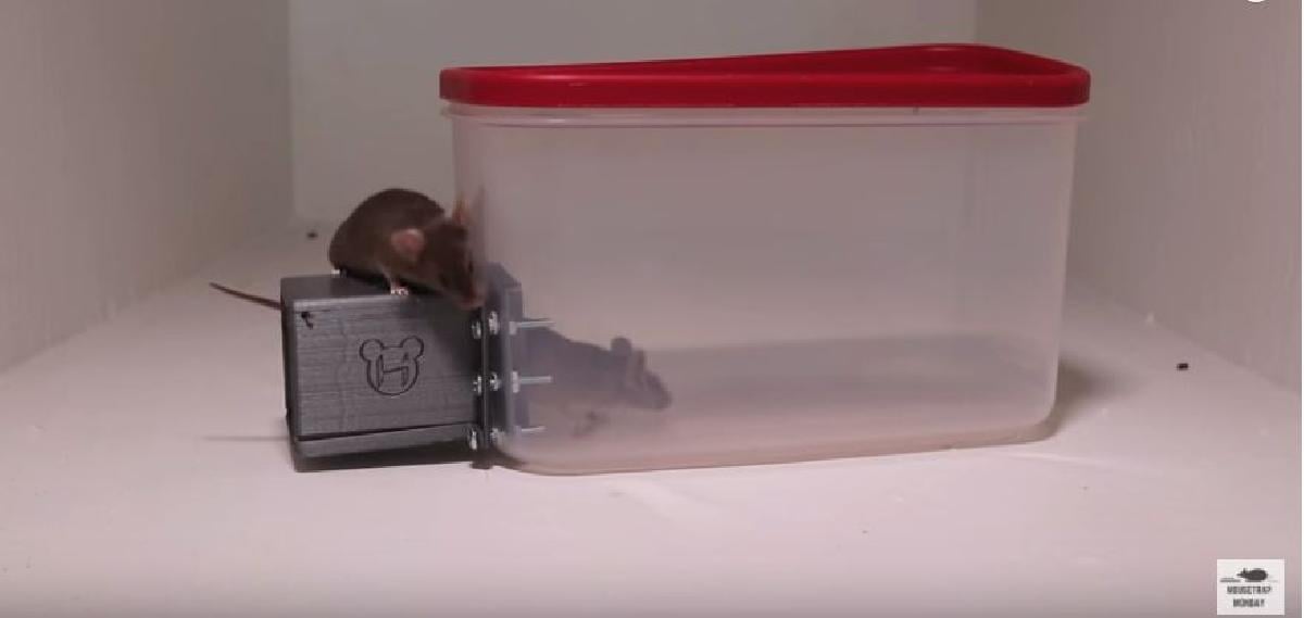Armadilha para ratos/camundongos