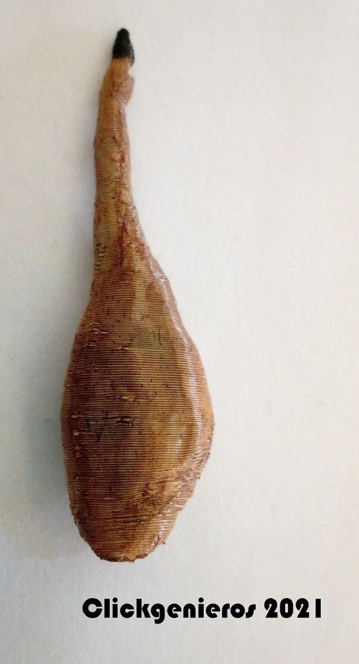 Jamon iberico compativel com Playmobil