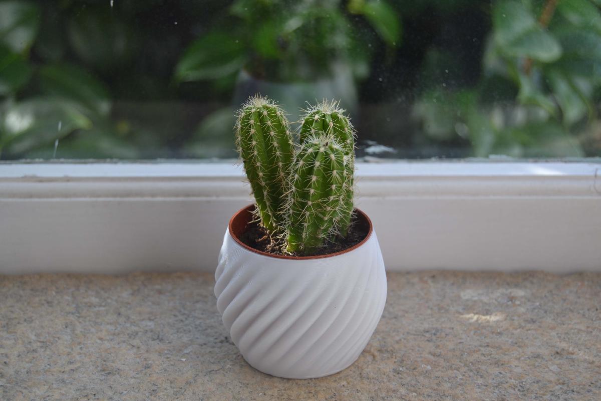 Decoracao de Casa com Vasos