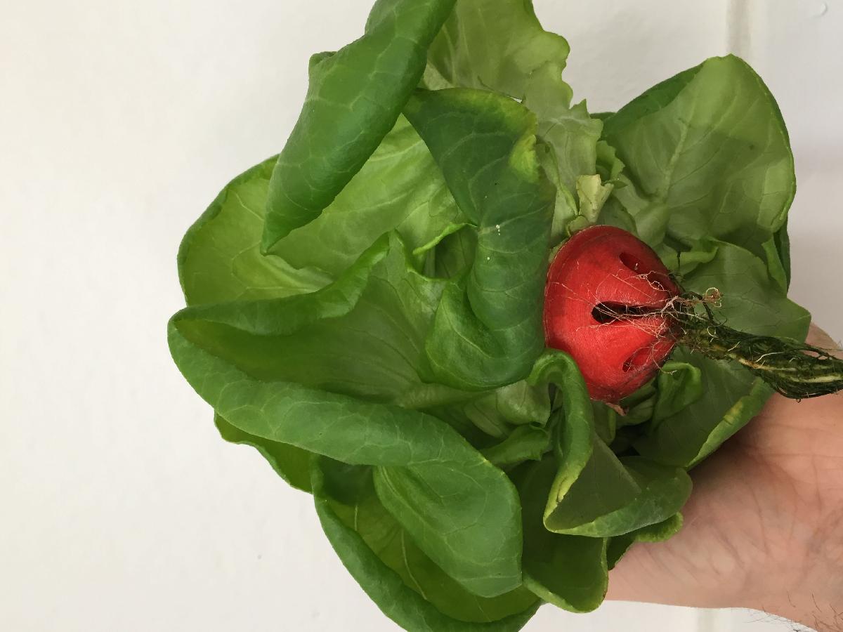 Podio de Cultivo Hidroponico   Sistema NFT ou Aero   OpenSCAD