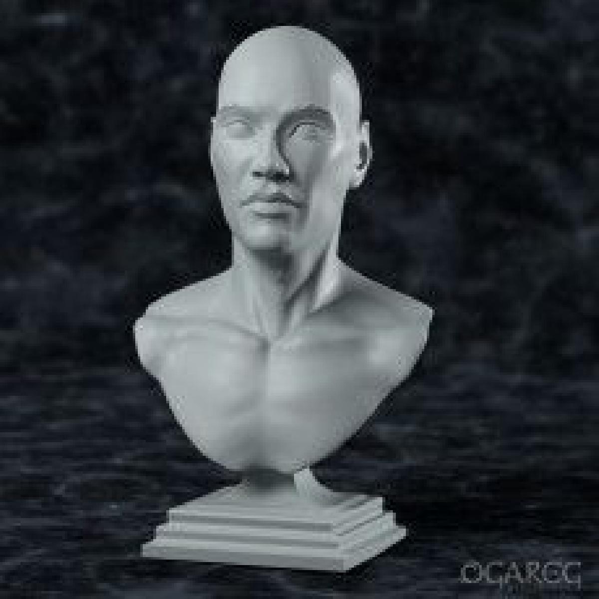 Busto humano academico