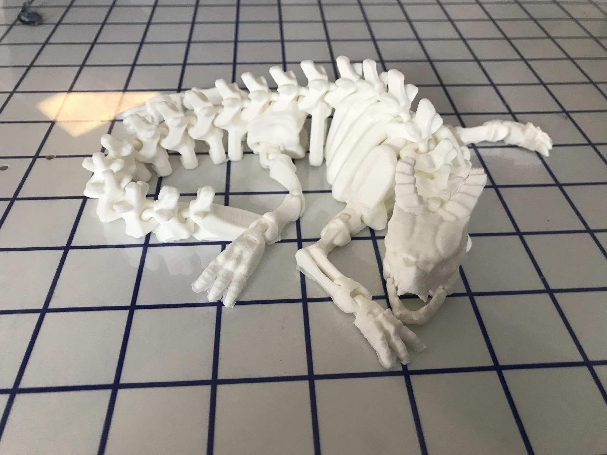 Dragao Esqueleto Articulado