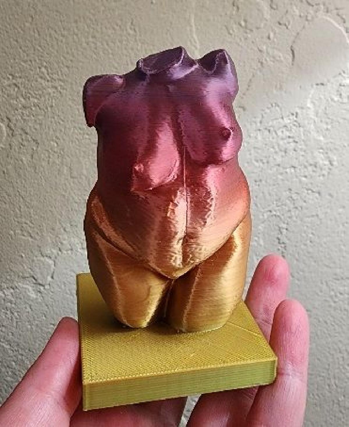 Torso Feminino   Remix Thicc