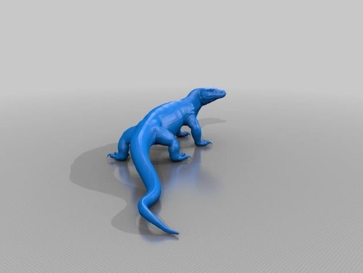 Dragao de Komodo