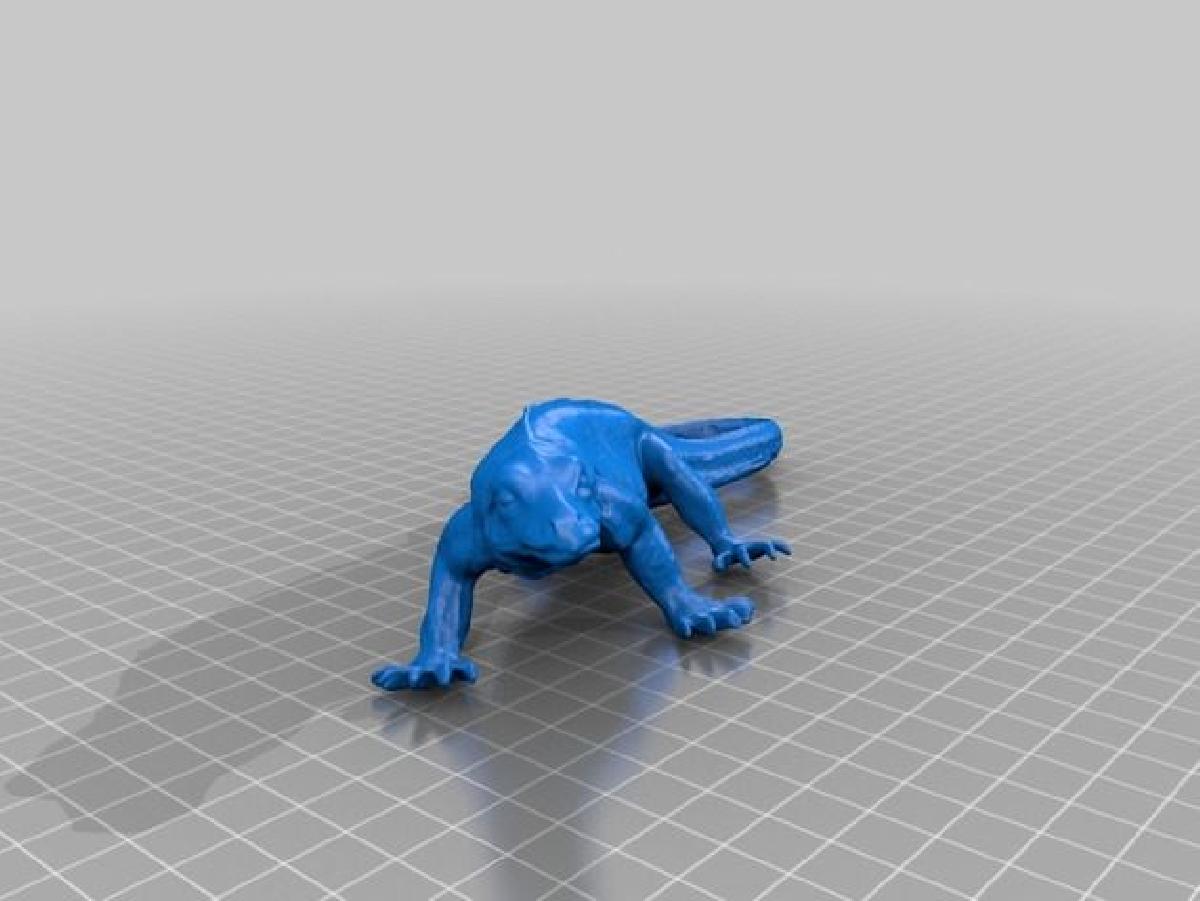 Dragao de Komodo
