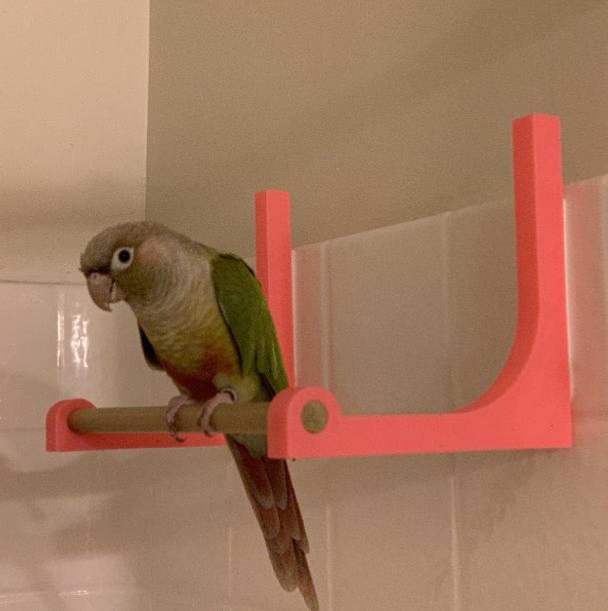 Poleiro para banho de passaro pequeno