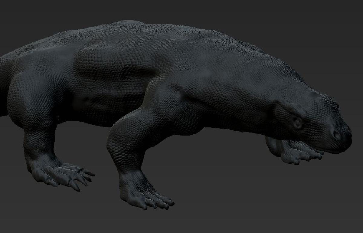Dragao de Komodo