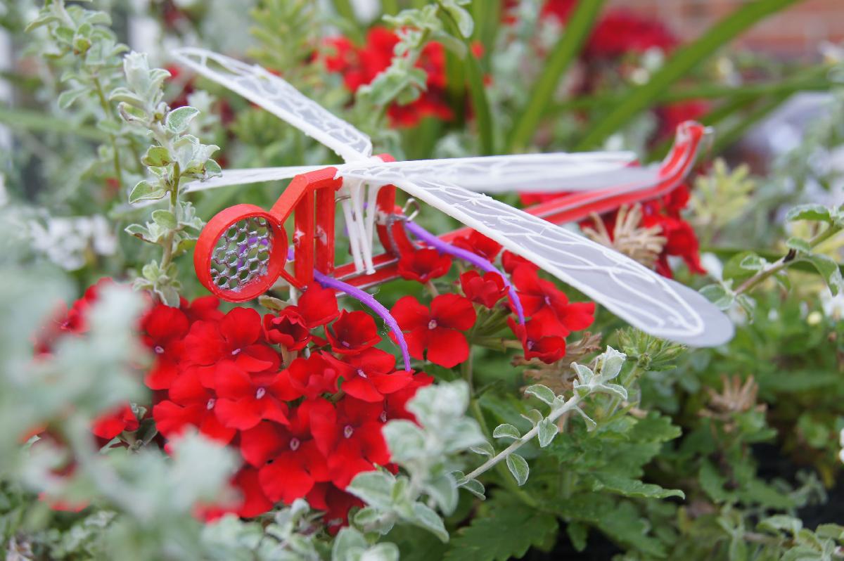 Ciência da libélula