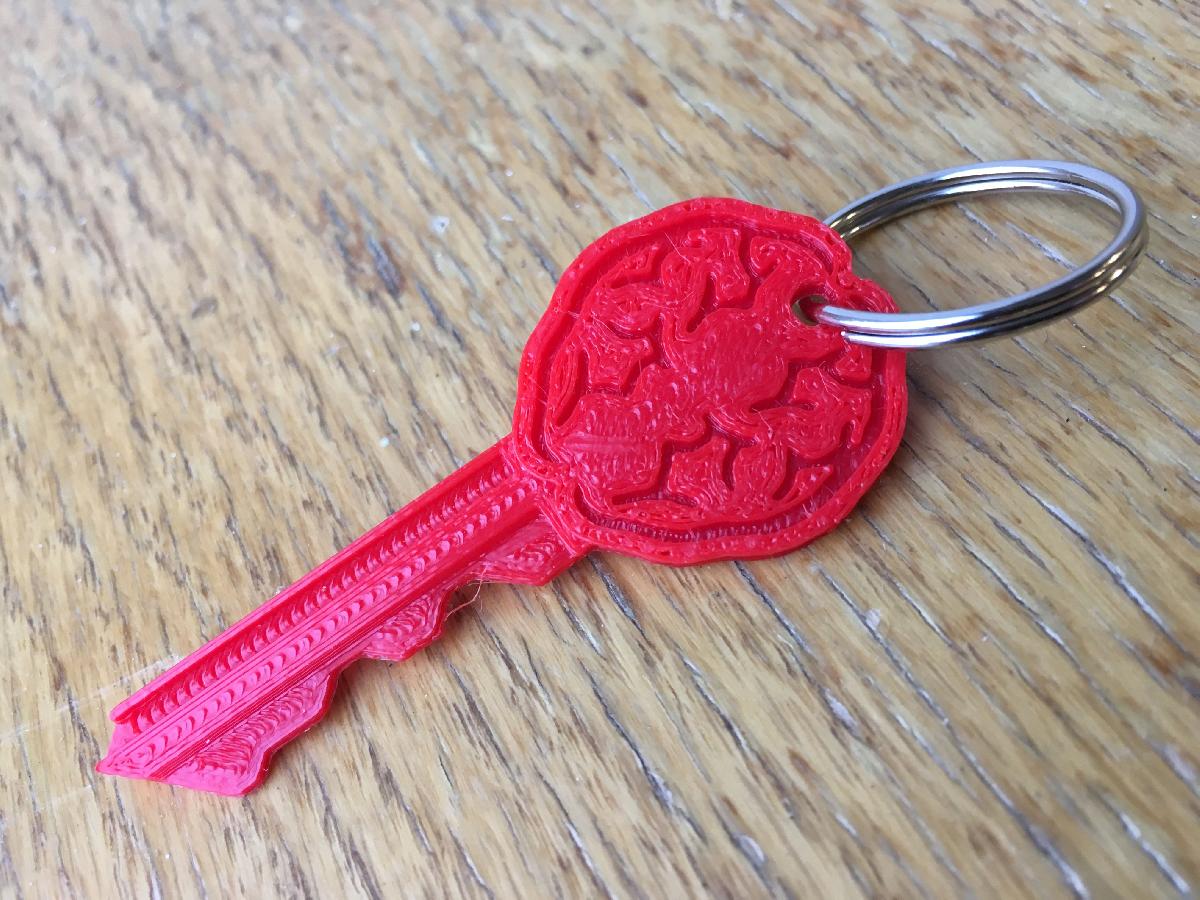 Chave para desvendar os segredos do cerebro