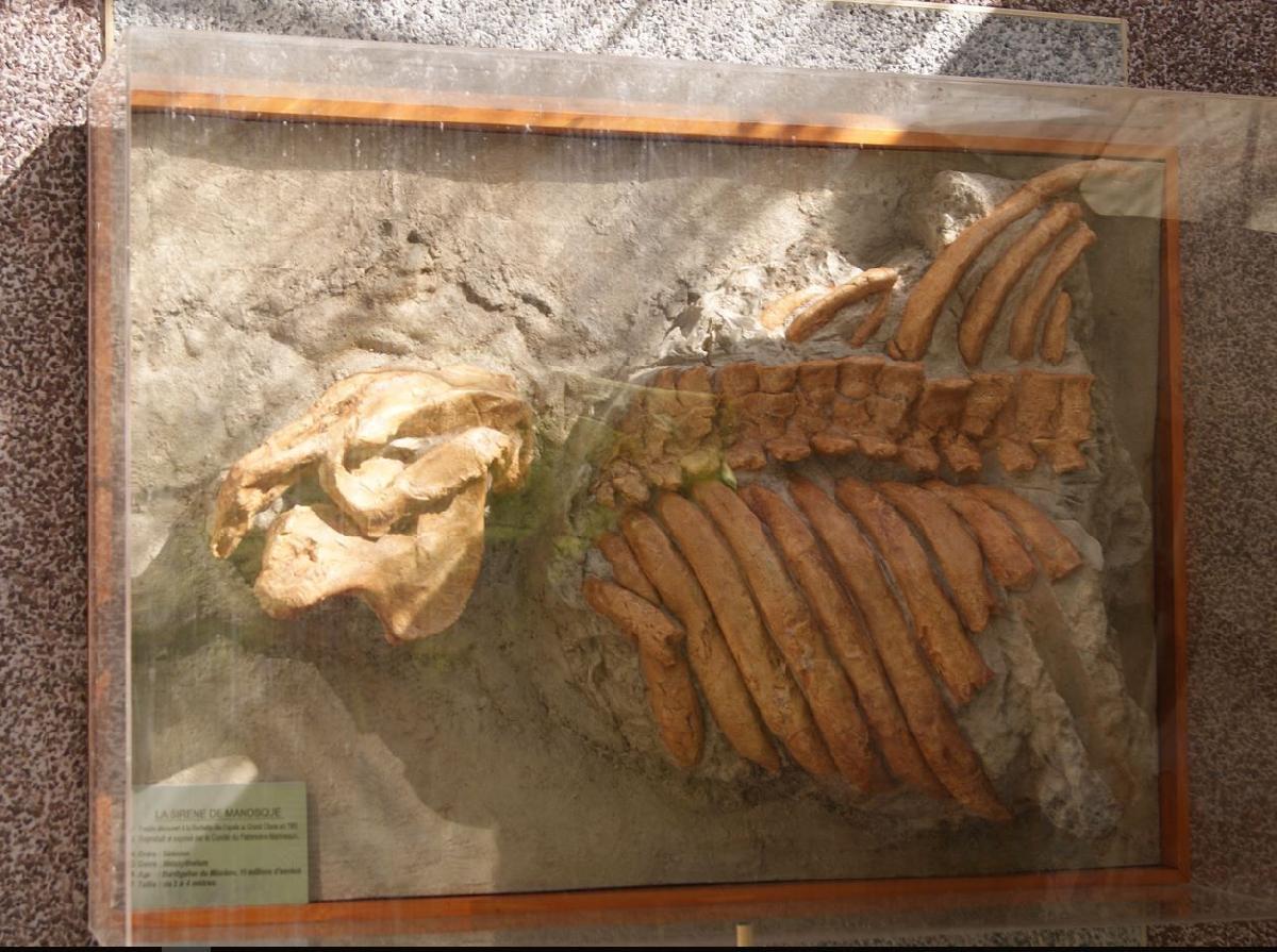 Sirene de Manosque