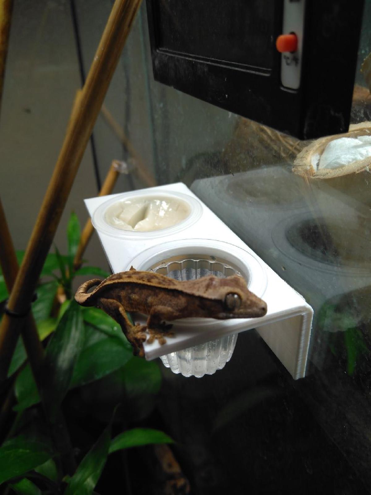 Alimentador de terrario
