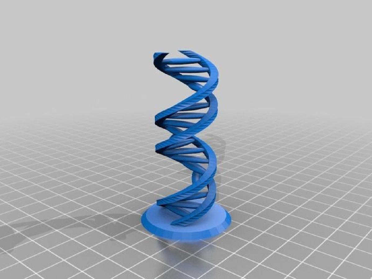 Escultura de DNA (parametrizada)