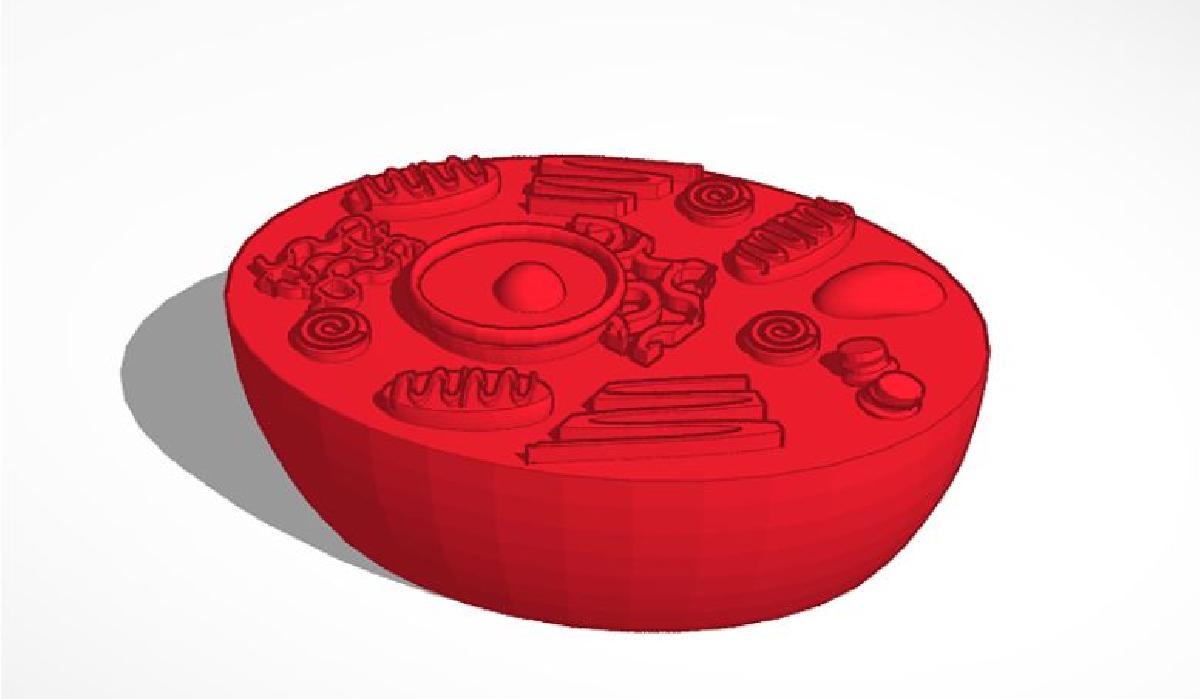 Modelo de Celulas Animais