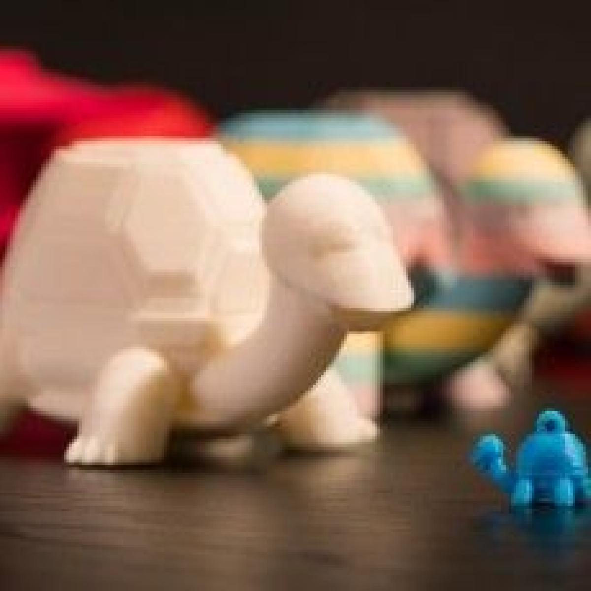 Turtle