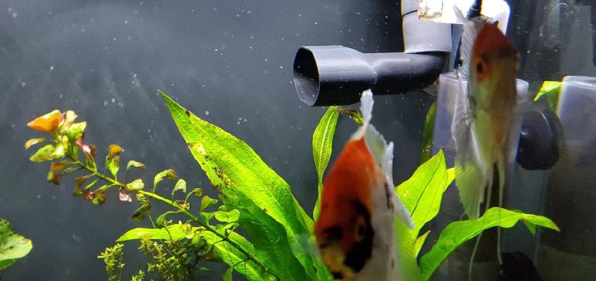 modificacao de saida unica do cotovelo Fluval FX 6