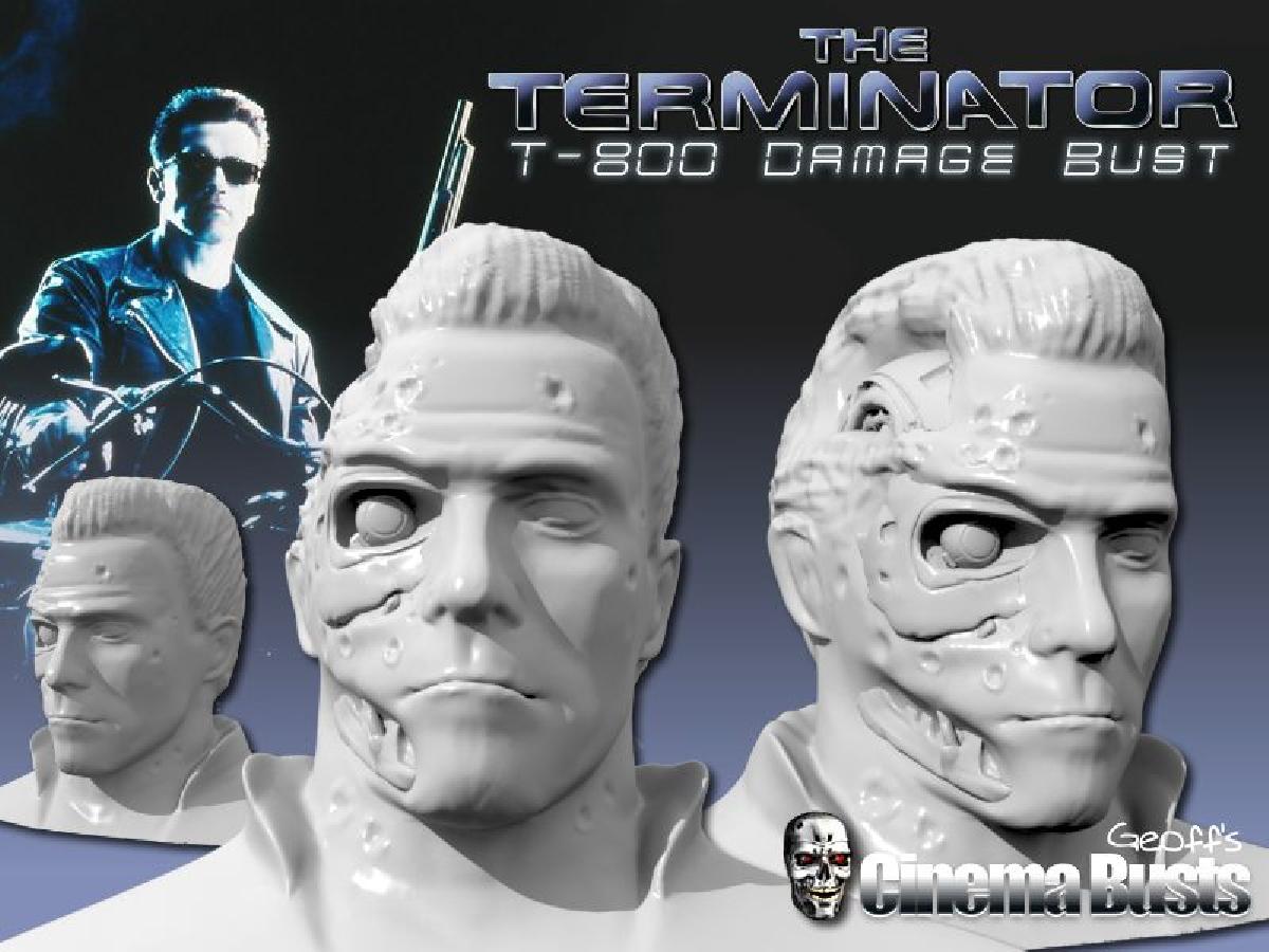 Dano do T 800 (28MB)