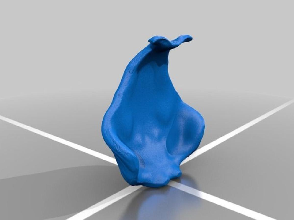 Patrick Estrela do Mar