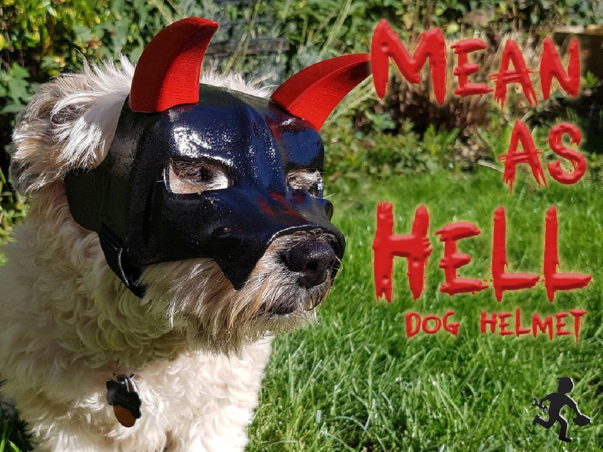 Capacete de Cao "Mean As Hell"