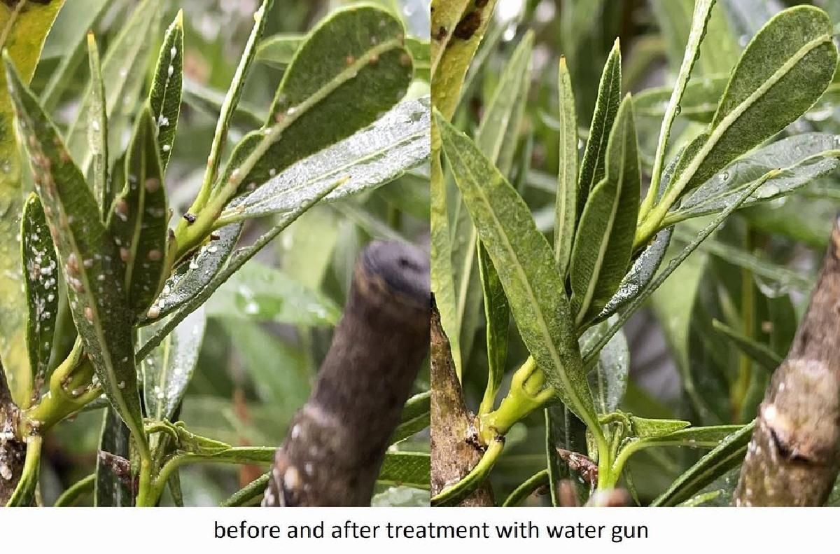 Seringa de pulgao / pistola de alta pressao contra pragas de plantas