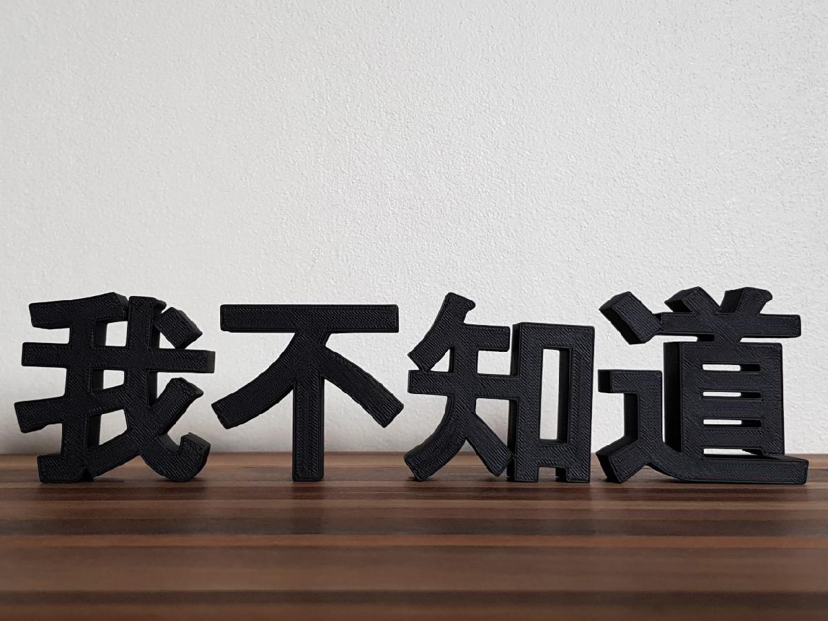 EU NÃO SEI (我不知道)
